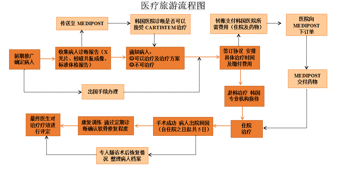 醫(yī)療旅游流程圖